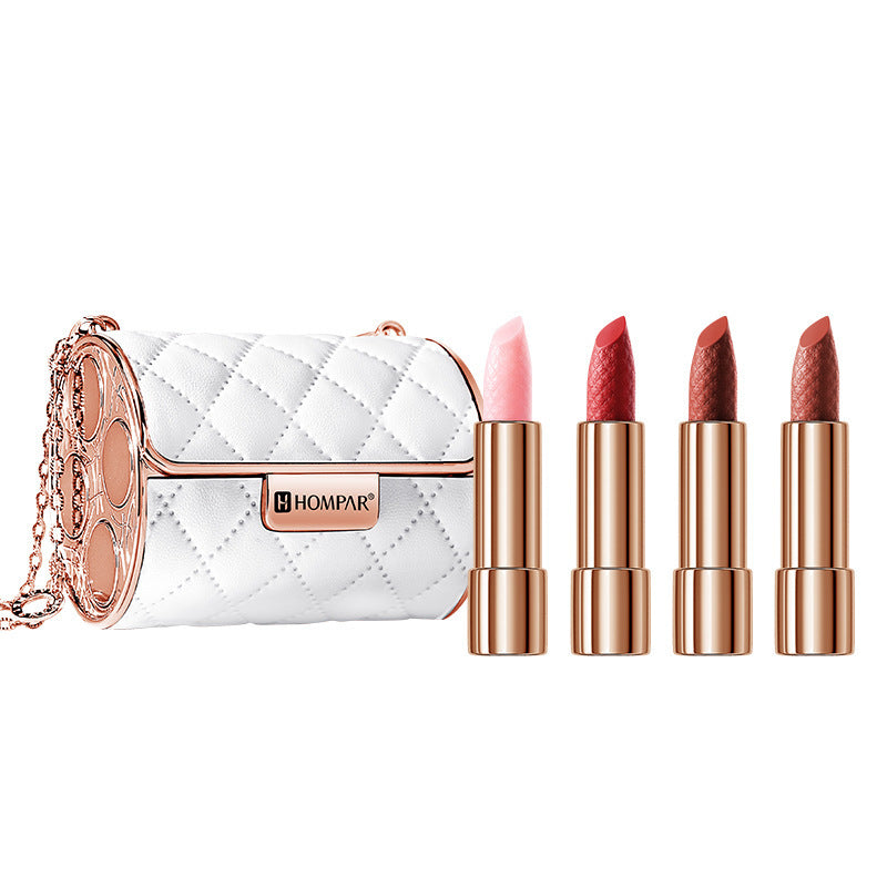 Luxury pet leather bag soft mist lipstick set【اشتري واحدة واحصل على واحدة مجانا】