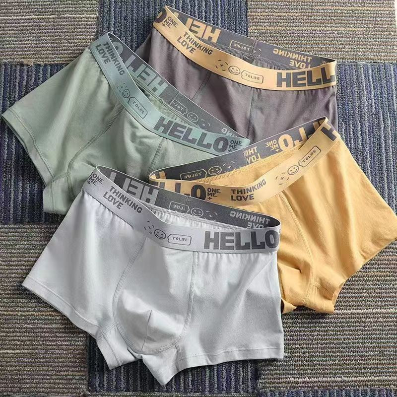 1 pack of 5pcs men's underwear(ud41)