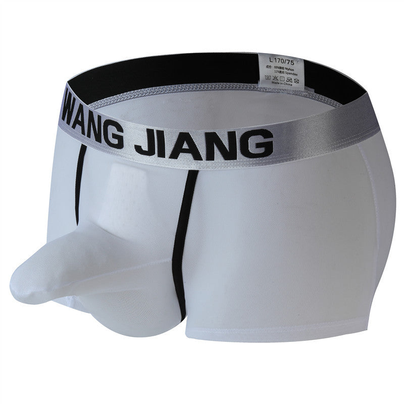 fzi444-Men's transparent mesh boxer briefs
