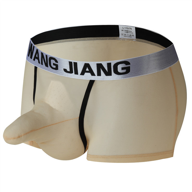 fzi444-Men's transparent mesh boxer briefs