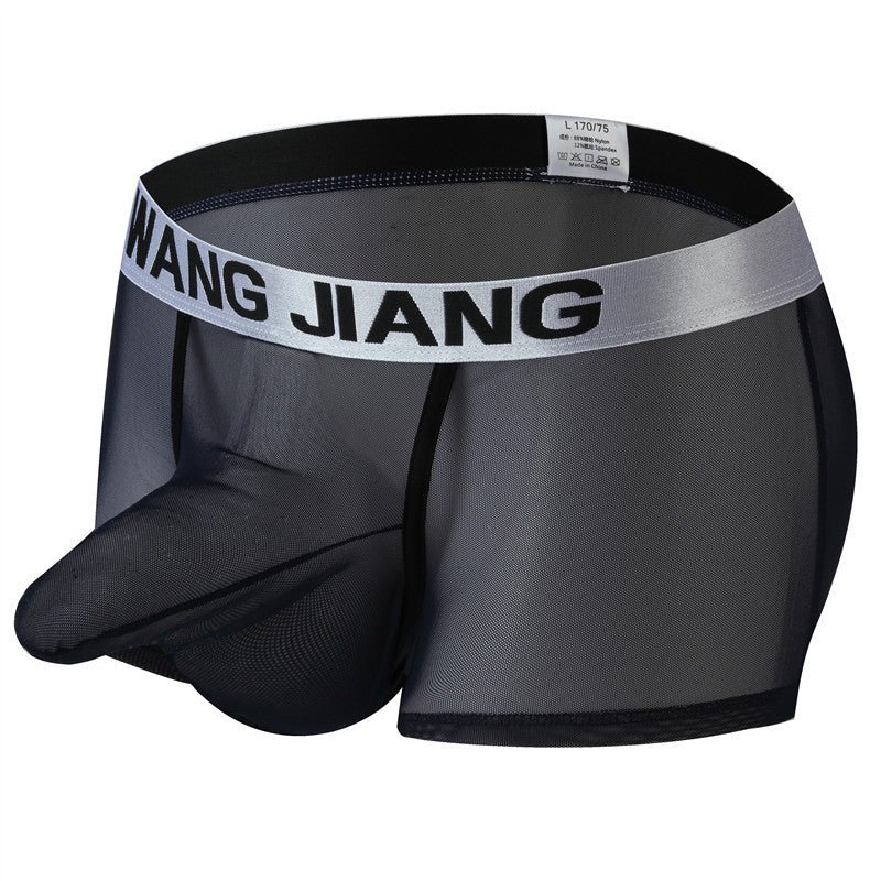 fzi444-Men's transparent mesh boxer briefs