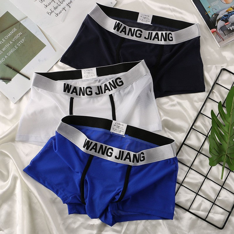 fzi444-Men's transparent mesh boxer briefs