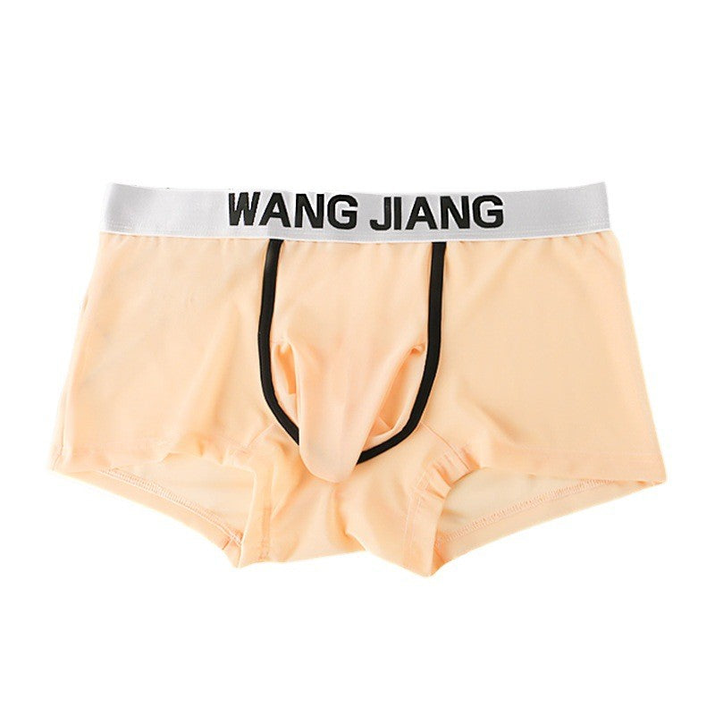 hou444-Men's transparent mesh boxer briefs