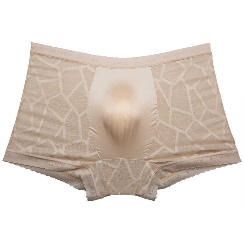 cf18-Translucent Ice Silk Lace Thin Men's Boxer Briefs