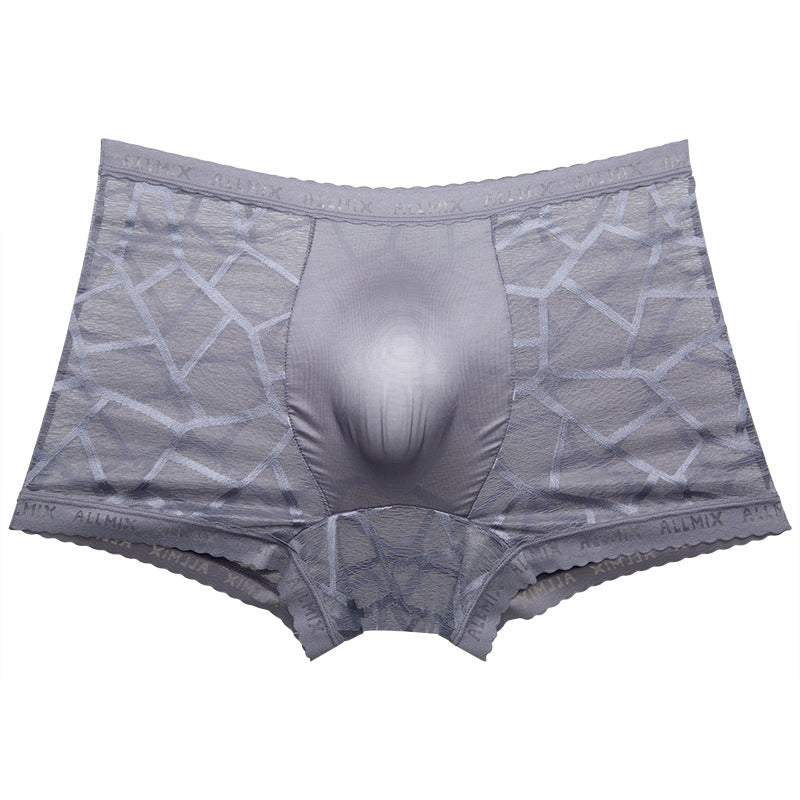 cf18-Translucent Ice Silk Lace Thin Men's Boxer Briefs