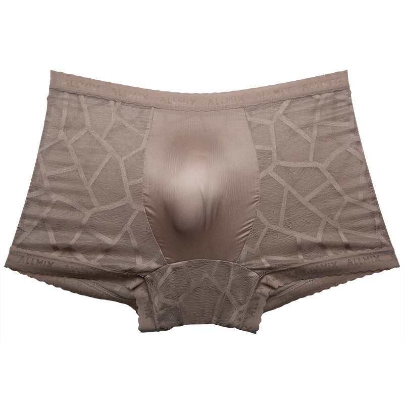 cf18-Translucent Ice Silk Lace Thin Men's Boxer Briefs