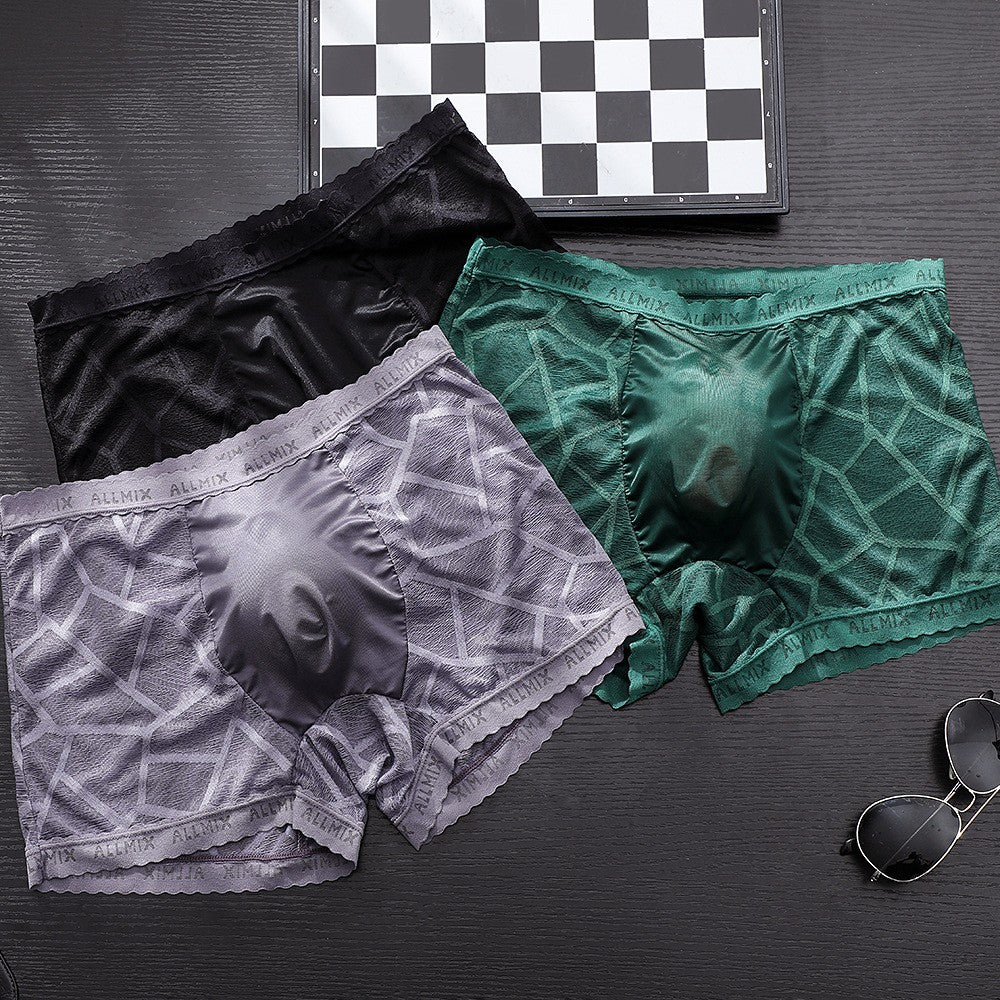 cf18-Translucent Ice Silk Lace Thin Men's Boxer Briefs