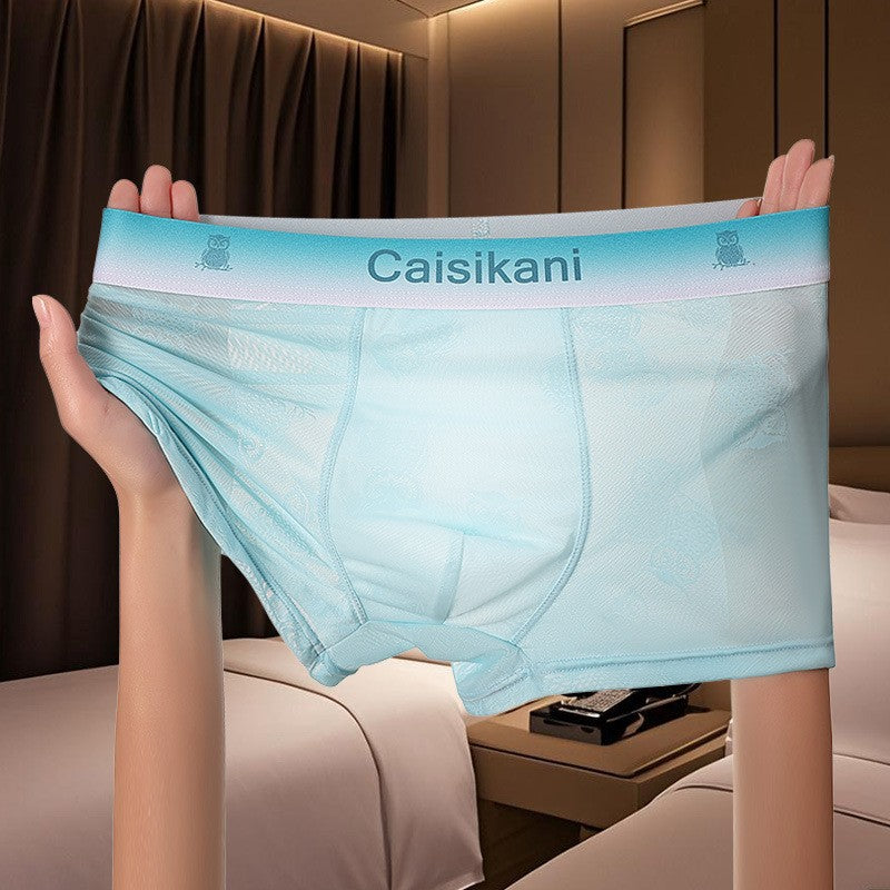 【1set 4pcs】Men's Ice Silk Mesh Sexy Briefs(you371)