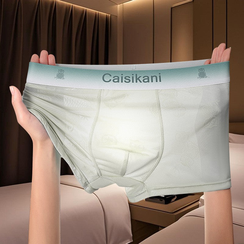 【1set 4pcs】Men's Ice Silk Mesh Sexy Briefs(you371)