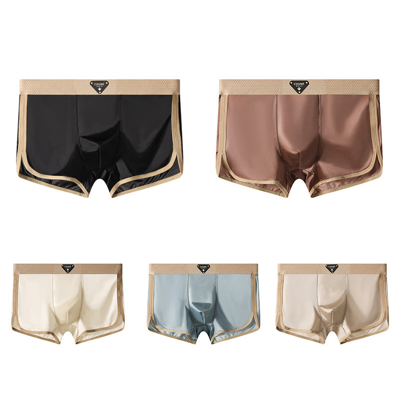 1 Set 5 Pcs breathable men's underwear(ud23)