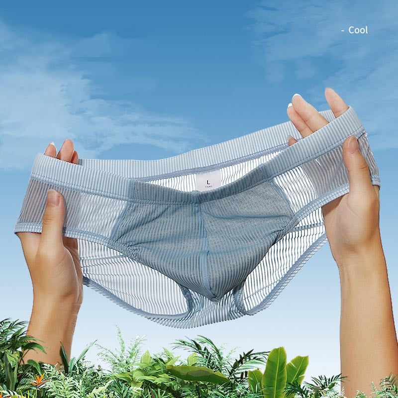 luu396-Men's Fashion Ice Silk Thin Briefs