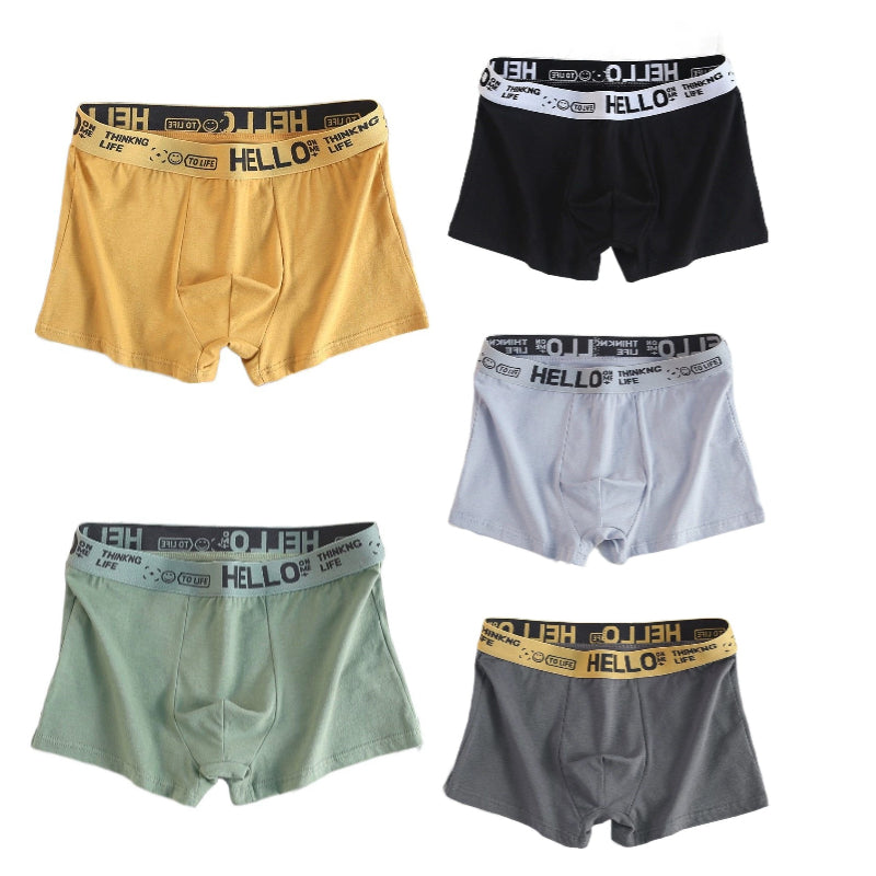 1 pack of 5pcs men's underwear(ud41)
