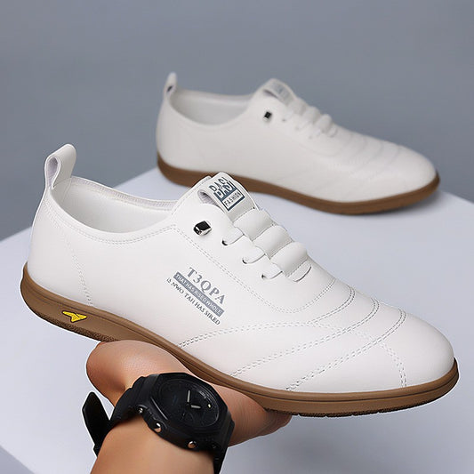 zd233-Men's fashionable casual leather shoes