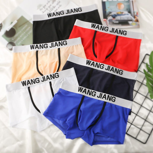 fzi444-Men's transparent mesh boxer briefs