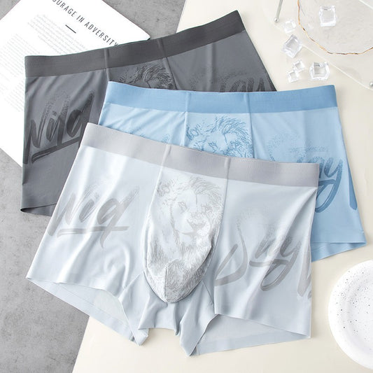 2025 Men's ice silk breathable quick-drying boxer briefs(cm299)