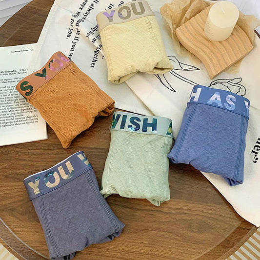 【1 set 5 pcs】Men's solid color simple style cotton underwear(you420)